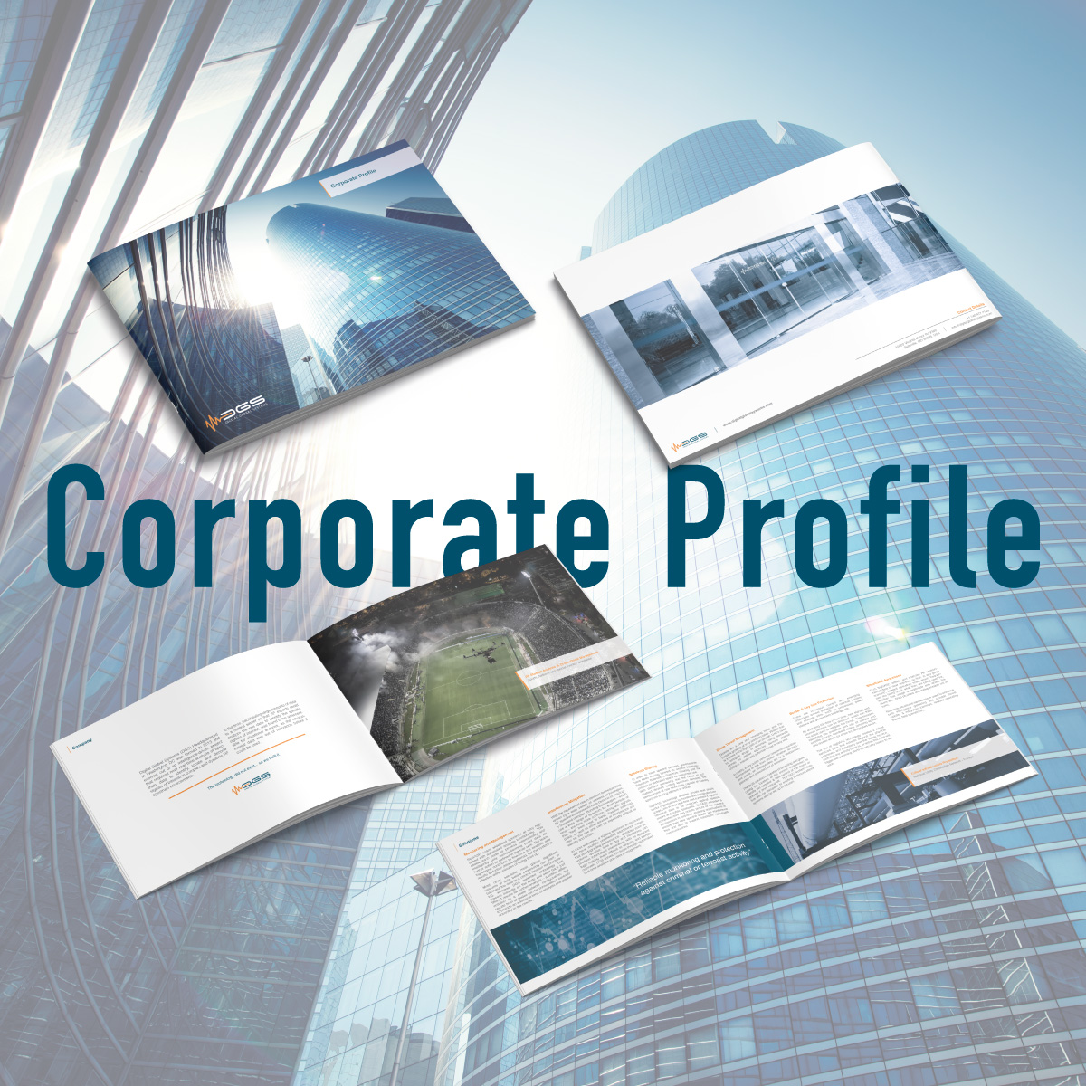 Portfolio-Entry-DGS-3